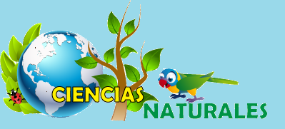 CIENCIAS NATURALES - 2do Grado A