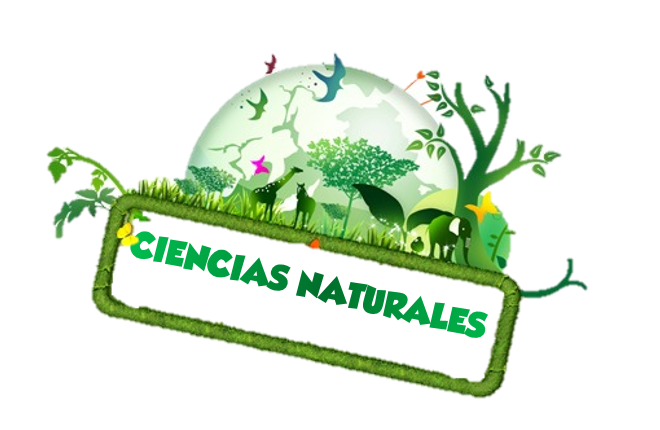 CIENCIAS NATURALES - 6to Grado B