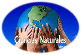 CIENCIAS NATURALES - 6to Grado C
