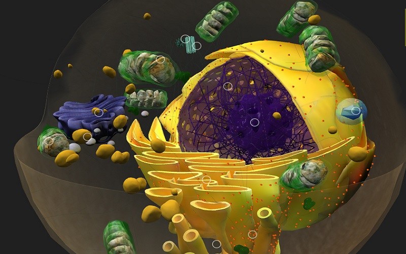 BIOLOGÍA - 2do Año A